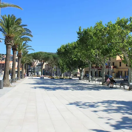 Apartment 3 Pieces Avec Grande Terrasse, A 100m Des Plages Et Commerces, Coeur De - Fr-1-225c-90 Banyuls-sur-Mer